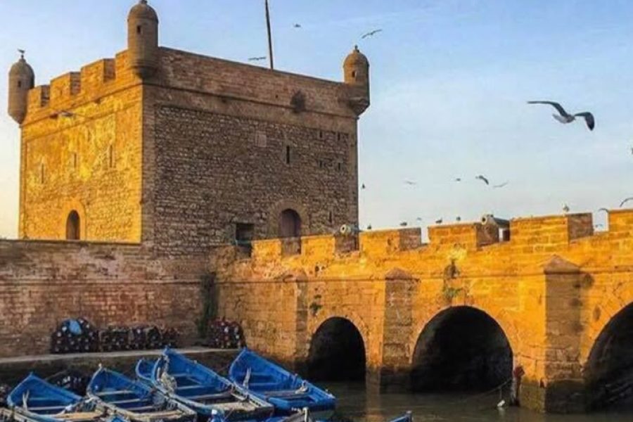 One-Day Excursion to Essaouira