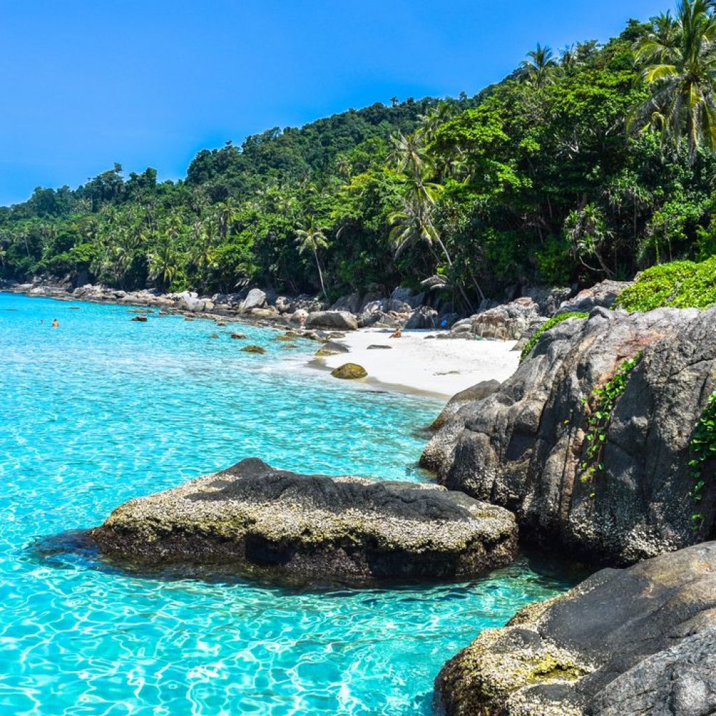 Aventure dans la jungle de Taman Negara lors d’un voyage organisé par TraviaVoyages - Exploration naturelle et culturelle en Malaisie