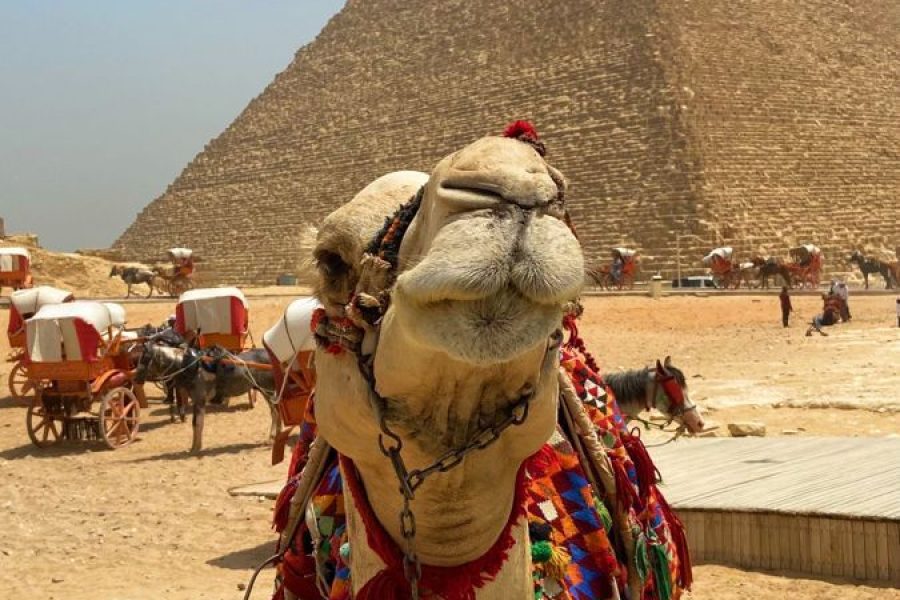 A trip to Egypt, the land of the Pharaohs, spring and summer