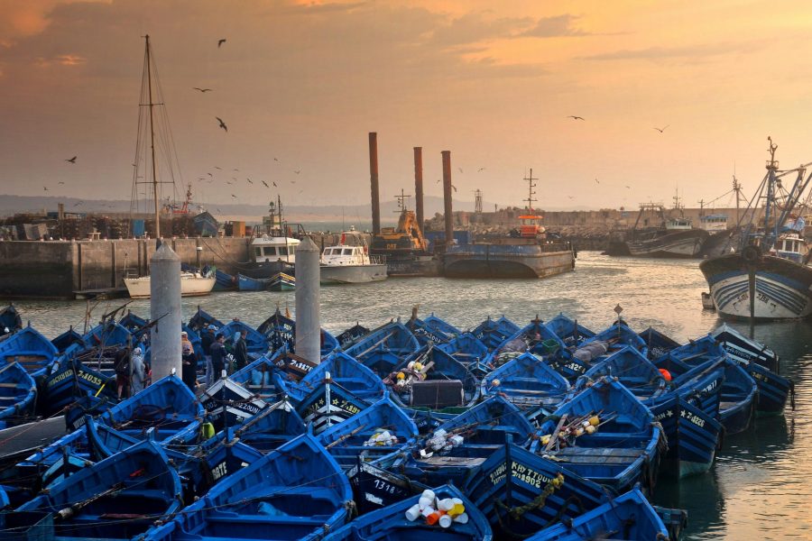 Excursion Essaouira en Une Journée